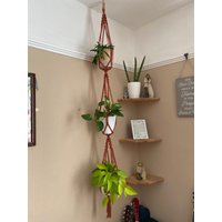 Makramee Dreifach Pflanzenaufhänger, Großer Blumentopf, Pflanzenzubehör Indoor, Boho Pflanzenaufhänger Dekor, Zimmerpflanze Dekor Zubehör von MacraMadeWithLoveUK