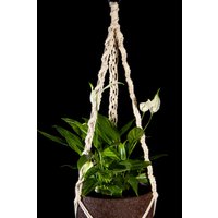 Makramee Blumenampel Hängeampel Baumwollseil Topflappen Boho/style Greenery Wohnkultur Housewarming Geschenk Makramee Blumenampel Hängeampel Baumwollseil Topflappen Boho/style Greenery Wohnkultur Housewarming Geschenk von MacrameDecorStore