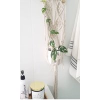 Makramee Pflanzenaufhänger /Plant Hanger/ Wandbehang - Weide von MacrameWonderlandAU