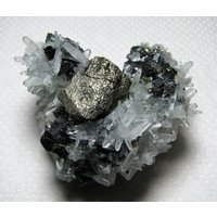 Ausgezeichnetes Stück Chalcopyrit Mit Pyrit Und Quarz Aus Der Berühmten 9. September Mine, Bulgarien, Natur Kristall, Top Zustand, N2293 von Madanminerals