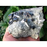 Beeindruckendes Stück Galena Mit Sphalerit, Chalcopyrit Und Quarz Aus Der Berühmten Mine Vom 9. September, Madan, Bulgarien, Geschenk, N2143 von Madanminerals