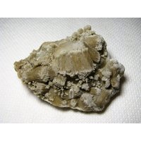 Schöner Seltener Zwei Generationen Calcit Aus Der Berühmten 9. September Mine, Bulgarien, Mineral, Natürliche Kristall, Top Zustand, N2240 von Madanminerals