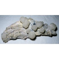 Unglaublich Fluoreszierender Calcit Auf Matrix Aus Der Berühmten Mine Vom 9. September, Madan, Bulgarien, Uv Reaktiver Kristall, Top Zustand, N2330 Unglaublich Fluoreszierender Calcit Auf Matrix Aus Der Berühmten Mine Vom 9. September, Madan, Bulgarien, Uv Reaktiver Kristall, Top Zustand, N2330 von Madanminerals