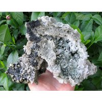 Wunderschöner Quarz Mit Chlorit Chalcopyrit Und Sphalerit, Madan, Bulgarien, Top Zustand, Cluster, Große Kristall, N2185 von Madanminerals