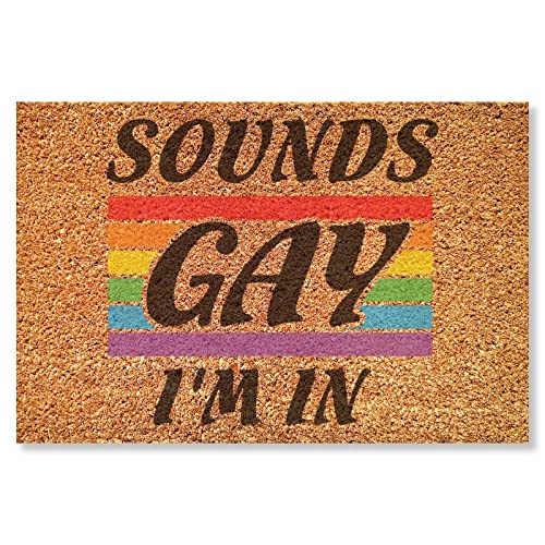 Madcolitote Sounds Gay I'n in Doormat Gay Pride Rainbow LGBT Same Sex Gay Mat Welcome Mat Fußmatte Fußmatte Bauernhaus Küche Badezimmer Indoor Outdoor Dekor Einweihungsgeschenk 40,6 x 61 cm von Madcolitote