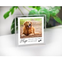 Haustier-Denkmal Foto-Plakette | Hunde-Denkmal Katzen-Denkmal Bildplakette Haustier-Verlust Geschenk Erinnerungsgeschenk Haustier Mans Bester Freund Haustier-Denkmal Foto-Plakette | Hunde-Denkmal Katzen-Denkmal Bildplakette Haustier-Verlust Geschenk Erinnerungsgeschenk Haustier Mans Bester Freund von Made2PerfectionShop