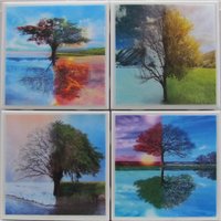 Fliesen Untersetzer - Bäume 4Er Set | 2 Sets Kaufen 1 Kostenlos Erhalten Set, Keramik, Personalisiert, Untersetzer, Marmor von MadePerfectCoasters