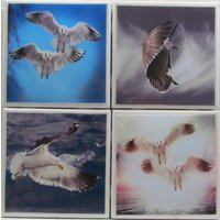 Fliesen Untersetzer - Möwen 4Er Set | 2 Sets Kaufen 1 Kostenlos Erhalten Untersetzer Set, Keramik, Personalisiert, Marmor Fliesen Untersetzer - Möwen 4Er Set | 2 Sets Kaufen 1 Kostenlos Erhalten Untersetzer Set, Keramik, Personalisiert, Marmor von MadePerfectCoasters