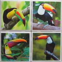 Fliesen Untersetzer - Tukanvögel 4Er Set | 2 Sets Kaufen 1 Kostenlos Erhalten Untersetzer Set, Keramik, Personalisiert, Untersetzer, Marmor von MadePerfectCoasters