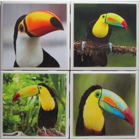 Fliesen Untersetzer - Tukanvögel 4Er Set | 2 Sets Kaufen 1 Kostenlos Erhalten Untersetzer Set, Keramik, Personalisiert, Untersetzer, Marmor Fliesen Untersetzer - Tukanvögel 4Er Set | 2 Sets Kaufen 1 Kostenlos Erhalten Untersetzer Set, Keramik, Personalisiert, Untersetzer, Marmor von MadePerfectCoasters