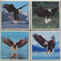 Fliesenuntersetzer - Adler 4Er Set | 2 Sets Kaufen 1 Kostenlos Erhalten Untersetzer Set, Keramik, Personalisiert, Untersetzer, Marmor Fliesenuntersetzer - Adler 4Er Set | 2 Sets Kaufen 1 Kostenlos Erhalten Untersetzer Set, Keramik, Personalisiert, Untersetzer, Marmor von MadePerfectCoasters