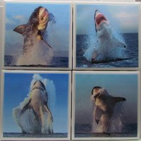 Fliesenuntersetzer - Hai Design 4Er Set | 2 Sets Kaufen 1 Kostenlos Erhalten Untersetzer Set, Keramik, Personalisiert, Untersetzer, Marmor von MadePerfectCoasters