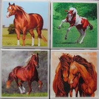 Fliesenuntersetzer - Pferde 4Er Set | 2 Sets Kaufen 1 Kostenlos Erhalten Untersetzer Set, Keramik, Personalisiert, Untersetzer, Marmor von MadePerfectCoasters