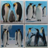 Fliesenuntersetzer - Pinguine 4Er Set | 2 Sets Kaufen 1 Kostenlos Erhalten Untersetzer Set, Keramik, Personalisiert, Untersetzer, Marmor von MadePerfectCoasters