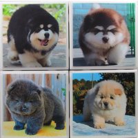 Fliesenuntersetzer - Süße Hunde 4Er Set | 2 Sets Kaufen 1 Kostenlos Erhalten Untersetzer Set, Keramik, Personalisiert, Untersetzer, Marmor von MadePerfectCoasters