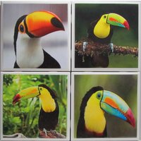 Fliesenuntersetzer - Tukan 4Er Set | 2 Sets Kaufen 1 Kostenlos Erhalten Untersetzer Set, Keramik, Personalisiert, Untersetzer, Marmor von MadePerfectCoasters