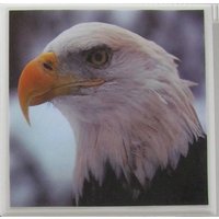 Keramikuntersetzer - Adler 4Er Set | Kaufen Sie 2 Sets Erhalten 1 Kostenlos Untersetzer, Keramik, Personalisiert, Marmor Keramikuntersetzer - Adler 4Er Set | Kaufen Sie 2 Sets Erhalten 1 Kostenlos Untersetzer, Keramik, Personalisiert, Marmor von MadePerfectCoasters