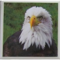 Keramikuntersetzer - Adler 4Er Set | Kaufen Sie 2 Sets Erhalten 1 Kostenlos Untersetzer, Keramik, Personalisiert, Marmor von MadePerfectCoasters