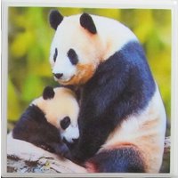 Untersetzer - Panda Bär 4Er Set | Kaufen Sie 2 Sets Erhalten 1 Gratis Set, Keramik, Personalisiert von MadePerfectCoasters