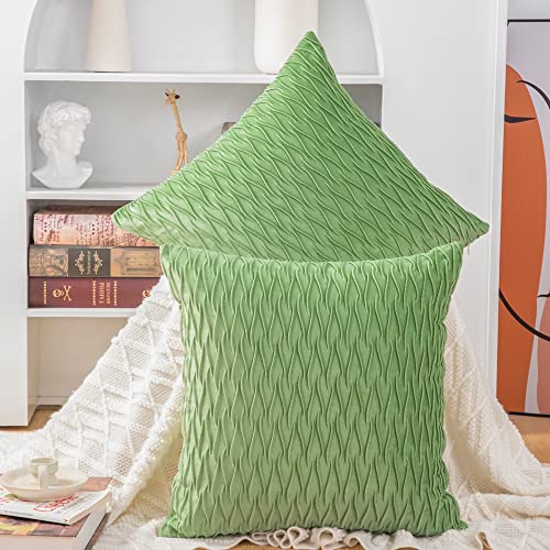 Madizz 2er Set Samt Dekorativ Zierkissenbezüge Luxus Stil Kissenbezug für Sofa für Schlafzimmer Apfelgrün 45x45 cm Quadrat von Madizz