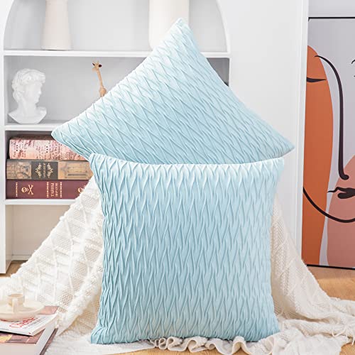 Madizz 2er Set Samt Dekorativ Zierkissenbezüge Luxus Stil Kissenbezug für Sofa für Schlafzimmer Hellblau 65x65 cm Quadrat von Madizz
