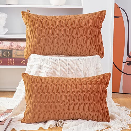 Madizz 2er Set Samt Dekorativ Zierkissenbezüge Luxus Stil Kissenbezug für Sofa für Schlafzimmer Orange 30x50 cm Rechteckigig von Madizz