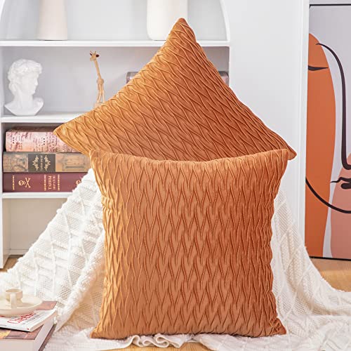 Madizz 2er Set Samt Dekorativ Zierkissenbezüge Luxus Stil Kissenbezug für Sofa für Schlafzimmer Orange 45x45 cm Quadrat von Madizz