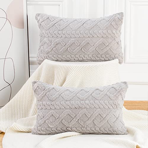 Madizz 2er Set Sanft Kurze Wolle Fleece Dekorativ Zierkissenbezüge Luxus Stil Kissenbezug für Sofa für Schlafzimmer Hellgrau 30x50 cm Rechteckig von Madizz