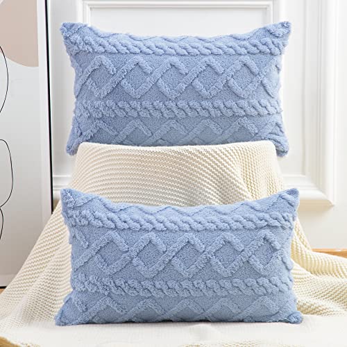 Madizz 2er Set Sanft Kurze Wolle Fleece Dekorativ Zierkissenbezüge Luxus Stil Kissenbezug für Sofa für Schlafzimmer Blau 30x50 cm Rechteckig von Madizz