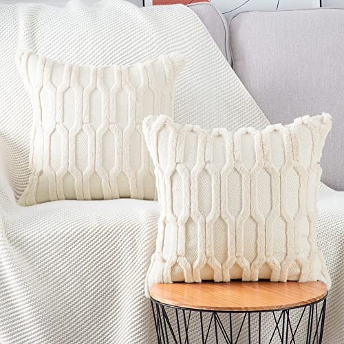 Madizz 2er Set Sanft Plüsch Kurze Wolle Samt Dekorativ Zierkissenbezüge Luxus Stil Kissenbezug für Sofa für Schlafzimmer Beige 30x30 cm Quadrat von Madizz