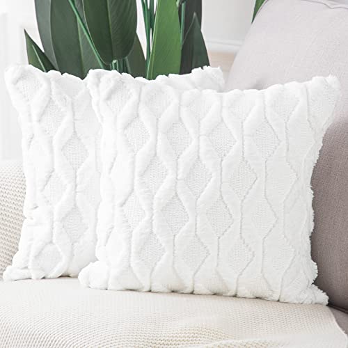 Madizz 2er Set Sanft Plüsch Kurze Wolle Samt Dekorativ Zierkissenbezüge Luxus Stil Kissenbezug für Sofa für Schlafzimmer Weiß 60x60 cm Quadrat von Madizz