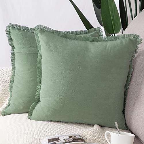 Madizz 2er Set Kissenbezügen aus Wildleder mit Fransenquasten Weiche dekorative Kissenbezüge für Sofa Schlafzimmer Kissenhülle Hellgrün 55x55 cm Quadrat Madizz 2er Set Kissenbezügen aus Wildleder mit Fransenquasten Weiche dekorative Kissenbezüge für Sofa Schlafzimmer Kissenhülle Hellgrün 55x55 cm Quadrat von Madizz