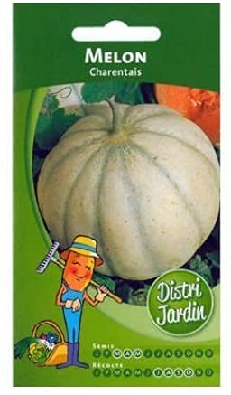 Melonensamen Cantaloup charantais von Maelsa