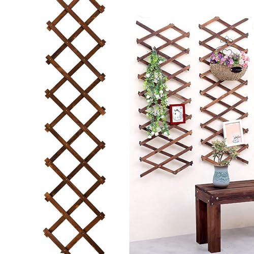 Mafagwre Rankgitter Holz, Rankgitter, ausziehbar, Rankhilfe für Kletterpflanzen, Langlebig und robust, Holz Trennwand Pflanzer Gartenzaun für Balkone und Gärten 200×30cm (A) von Mafagwre