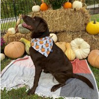 Jack-O-Windlicht Kürbis Halloween Auf Bestellung Über Das Halsband Hundehalstuch von MagPiePups