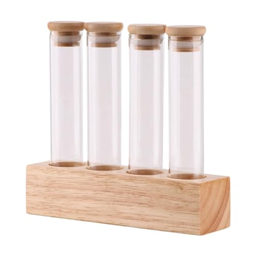 MagiDeal Glasbehälter zur Aufbewahrung von Kaffeebohnen, Reagenzgläser aus Glas, Präsentationsständer aus Holz, Aufbewahrungsröhrchen für Kaffeebohnen für die, 4 Loch von MagiDeal