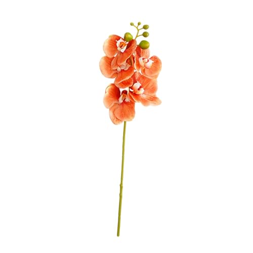 MagiDeal Orchideenblüten, Stammpflanzen, künstliche Schmetterlings-Phalaenopsis-Blume, Blumenarrangement, künstliche Seidenblume für Büro, Vase, Orange von MagiDeal