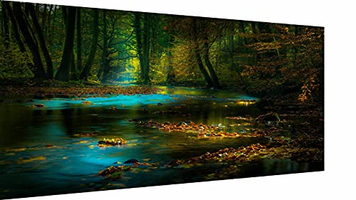 Magic Canvas Art - Bilder Sumpf Wald Landschaften Natur Leinwandbild 1- teilig Hochwertiger Kunstdruck modern Wandbilder Wanddekoration Design Wand Bild, Größe: 100 x 50 cm von Magic Canvas Art