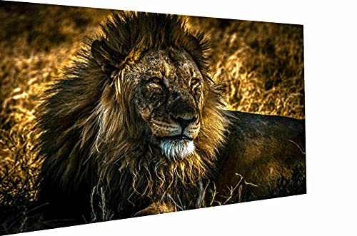 Magic Canvas Art - Bilder Tier Löwen Leinwandbild 1- teilig Hochwertiger Kunstdruck modern Wandbilder Wanddekoration Design Wand Bild, Größe: 180 x 120 cm von Magic Canvas Art