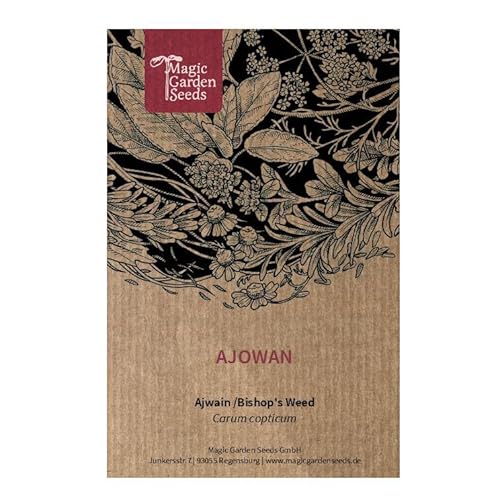 Ajowan/Königskümmel (Carum copticum) 100 Samen Küchenkräuter Gewürz orientalische arabische Küche von Magic Garden Seeds