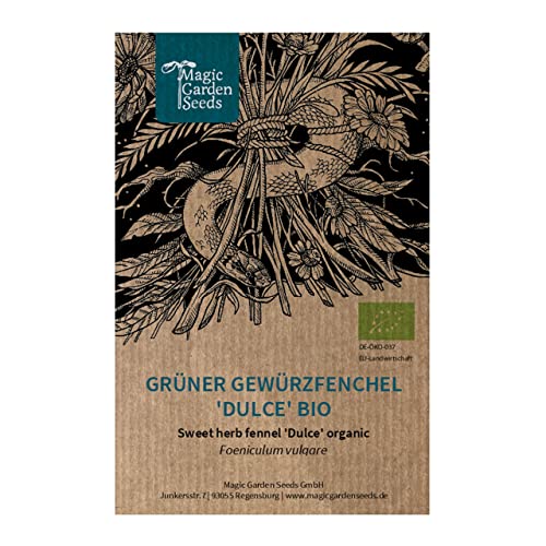 Grüner Gewürzfenchel 'Dulce' (Foeniculum vulgare) Bio - ca. 1000 Samen von Magic Garden Seeds