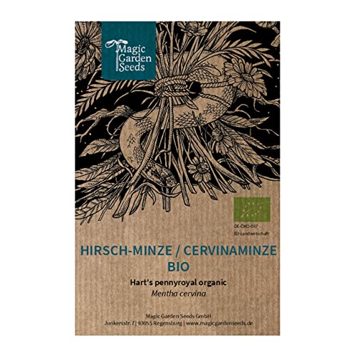 Hirsch-Minze/Cervinaminze (Mentha cervina) Bio - ca. 1000 Samen von Magic Garden Seeds