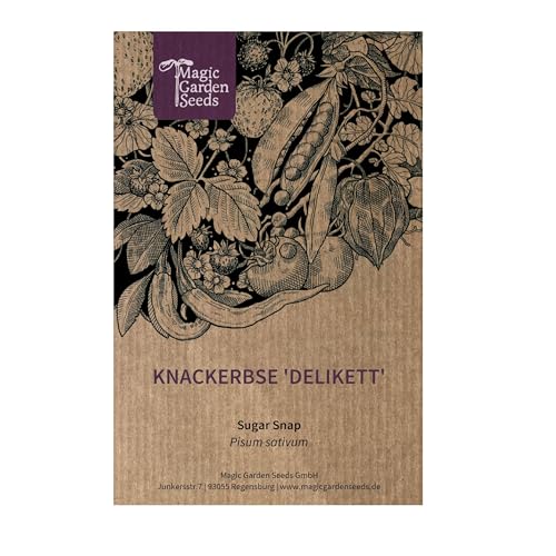 Knackerbse 'Delikett'(Pisum sativum) ca. 50 Samen Zuckererbse von Magic Garden Seeds