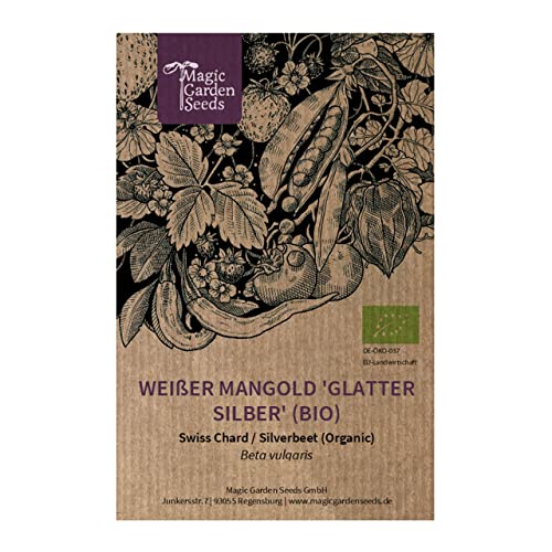 Weißer Mangold 'Glatter Silber' (Beta vulgaris) Bio 100 Samen Krautstiel Beißkohl Römischer Kohl von Magic Garden Seeds