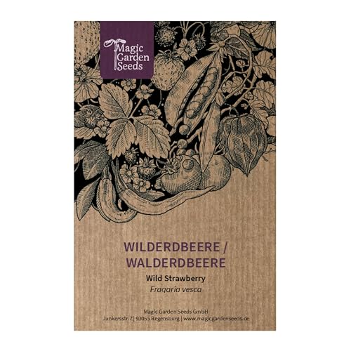 Magic Garden Seeds - Samentüte Wilderdbeere/Walderdbeere (Fragaria vesca) - ca. 300 Obstsamen - aromatische, alte Sorte - Obst samen - Garten Geschenk von Magic Garden Seeds