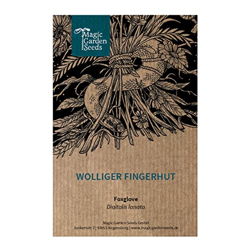 Wolliger Fingerhut (Digitalis lanata) - ca. 1000 Samen zweijährige Wildblume alte Heilpflanze Giftpflanze von Magic Garden Seeds