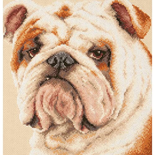 Magic Needle 59-21 ZW Bulldogge Kreuzstichset mit Zählmuster Zweigart Edition, Baumwolle, multifarbig, 25x25cm Magic Needle 59-21 ZW Bulldogge Kreuzstichset mit Zählmuster Zweigart Edition, Baumwolle, multifarbig, 25x25cm von Magic Needle