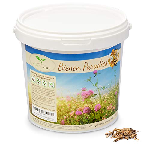 Magic of Nature Blumensamen Mischung - Bienen Paradies - 1kg - Kinderleichte Anwendung - Blühfreudige Bienenweide - Aussaat-Tipps - Für 300 bis 500 m² von Magic of Nature