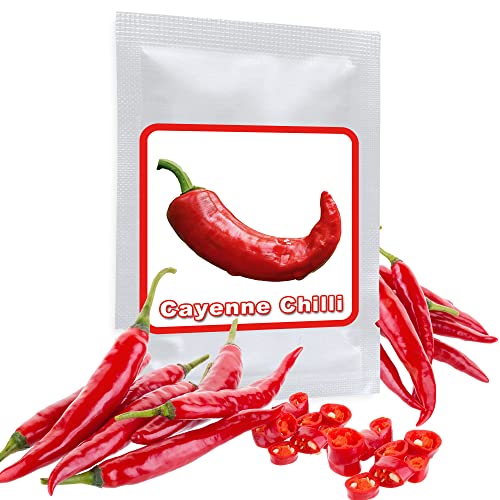 Chili Samen 50 Stück - Red Cayenne - der Chili-Klassiker schlechthin - Schärfegrad 8 von Magic of Nature
