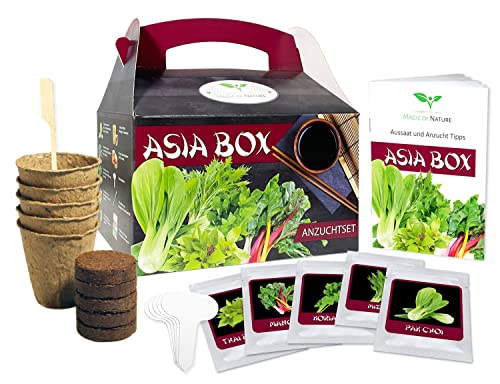 Magic of Nature Asia Box - Anzuchtset - 5 Kräuter und Gemüse Samen für die Asiatische Küche - Zum Selberzüchten oder zum Verschenken von Magic of Nature